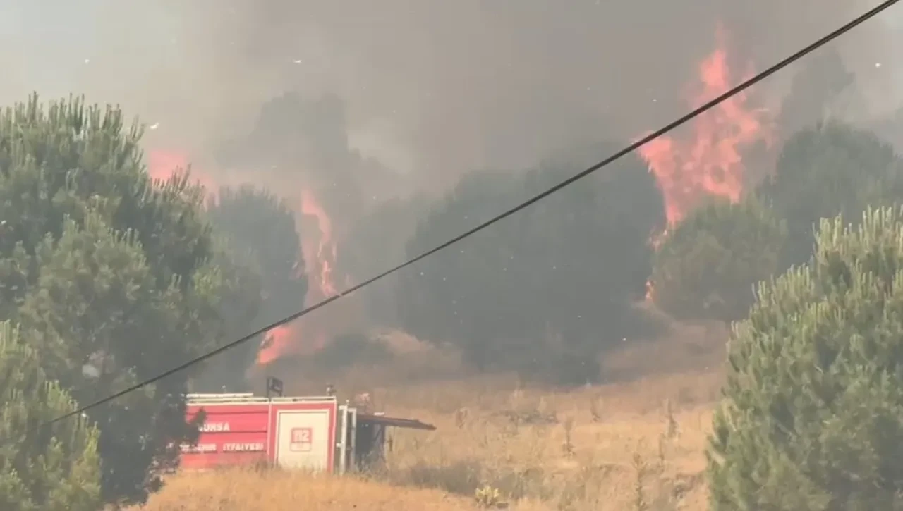 Bursa İznik orman yangını söndürüldü mü? Son dakika orman yangınında çalışmalar devam ediyor