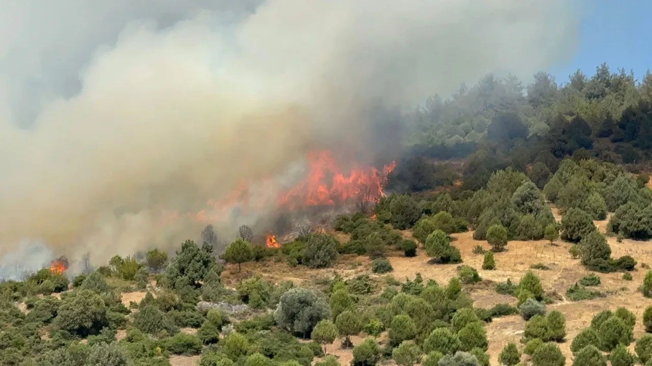 Bursa İznik orman yangını söndürüldü mü? Son dakika orman yangınında çalışmalar devam ediyor