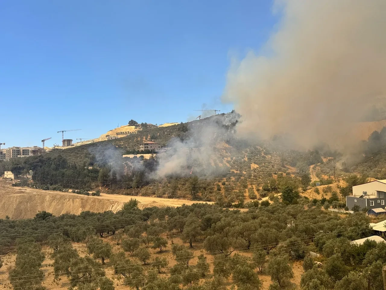 Hatay yangın son dakika söndürüldü mü? Ekipler yangının evlere ulaşmasını engellemeye çalışıyor