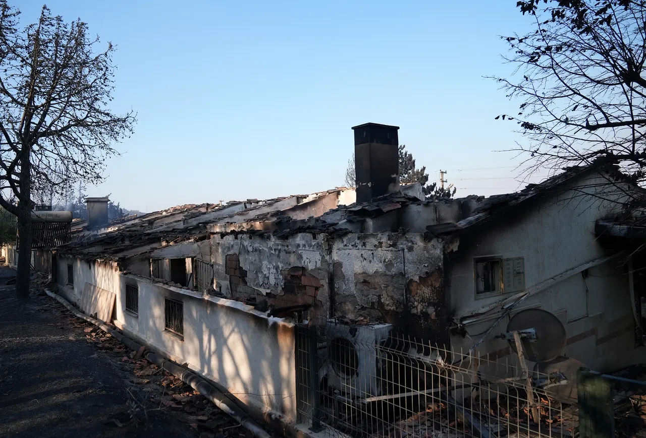 İzmir Doğankent sitesi Seferihisar yangınında etkilendi! Orman yangını söndü mü?