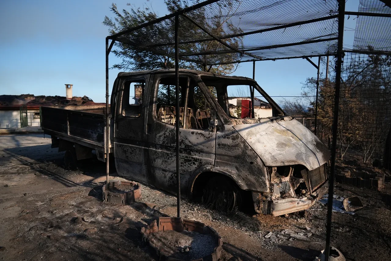 İzmir'deki yangının boyutu gün ağarınca ortaya çıktı! Bölgeden kahreden görüntüler