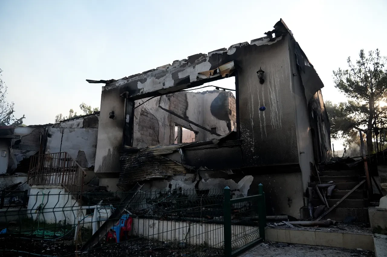 İzmir'deki yangının boyutu gün ağarınca ortaya çıktı! Bölgeden kahreden görüntüler