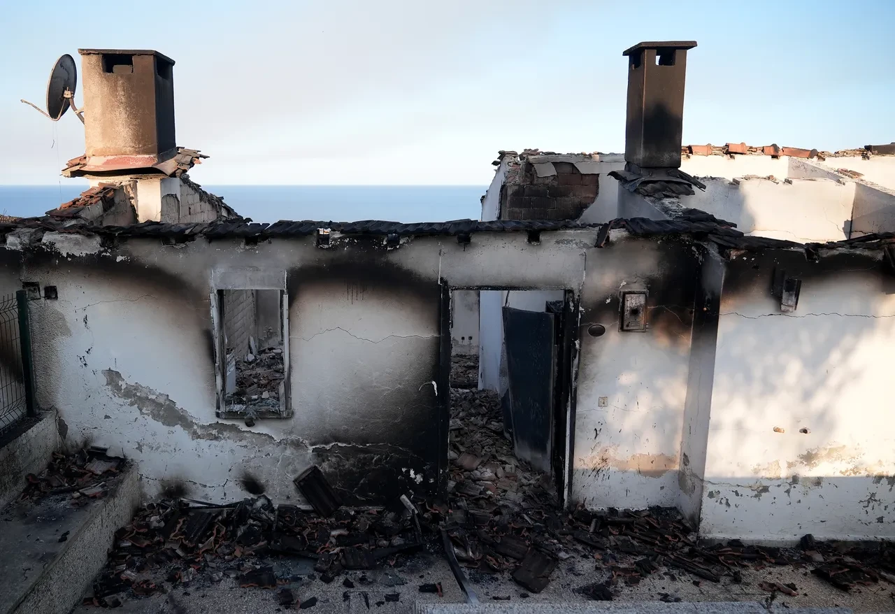 İzmir'deki yangının boyutu gün ağarınca ortaya çıktı! Bölgeden kahreden görüntüler