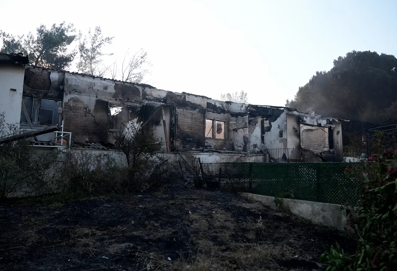 İzmir'deki yangının boyutu gün ağarınca ortaya çıktı! Bölgeden kahreden görüntüler