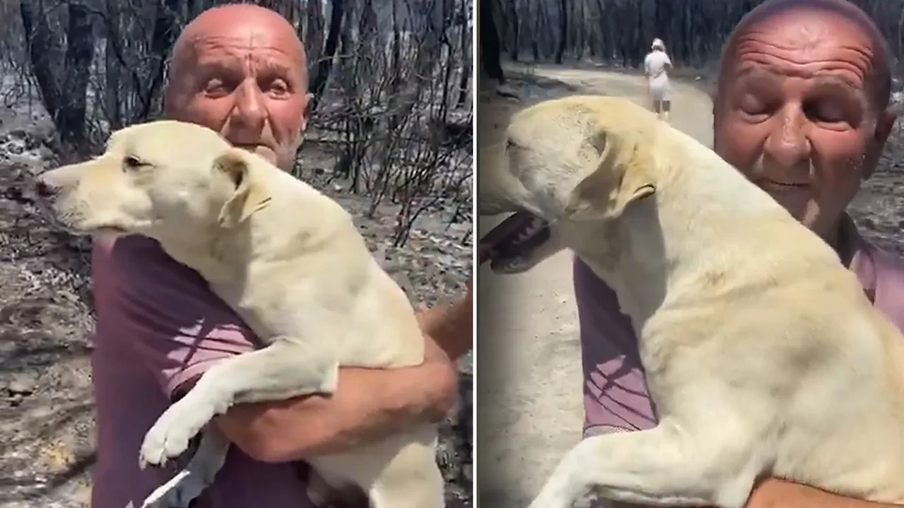 Köpeği sayesinde yangından kurtuldu! Küle dönen evden sağ çıkıp, can dostuna sarıldı