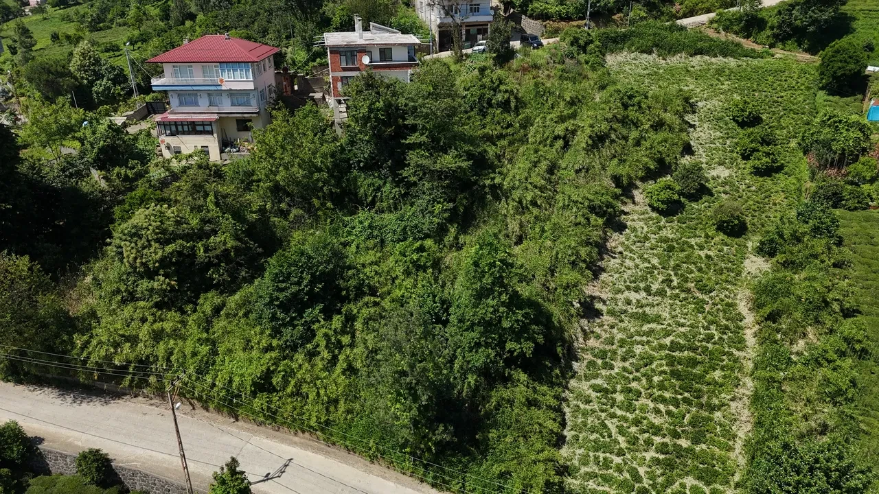 Mahalleliyi canından bezdirdi! Diken üstünde yaşıyorlar: 'Birkaç seneye köy kapanır'