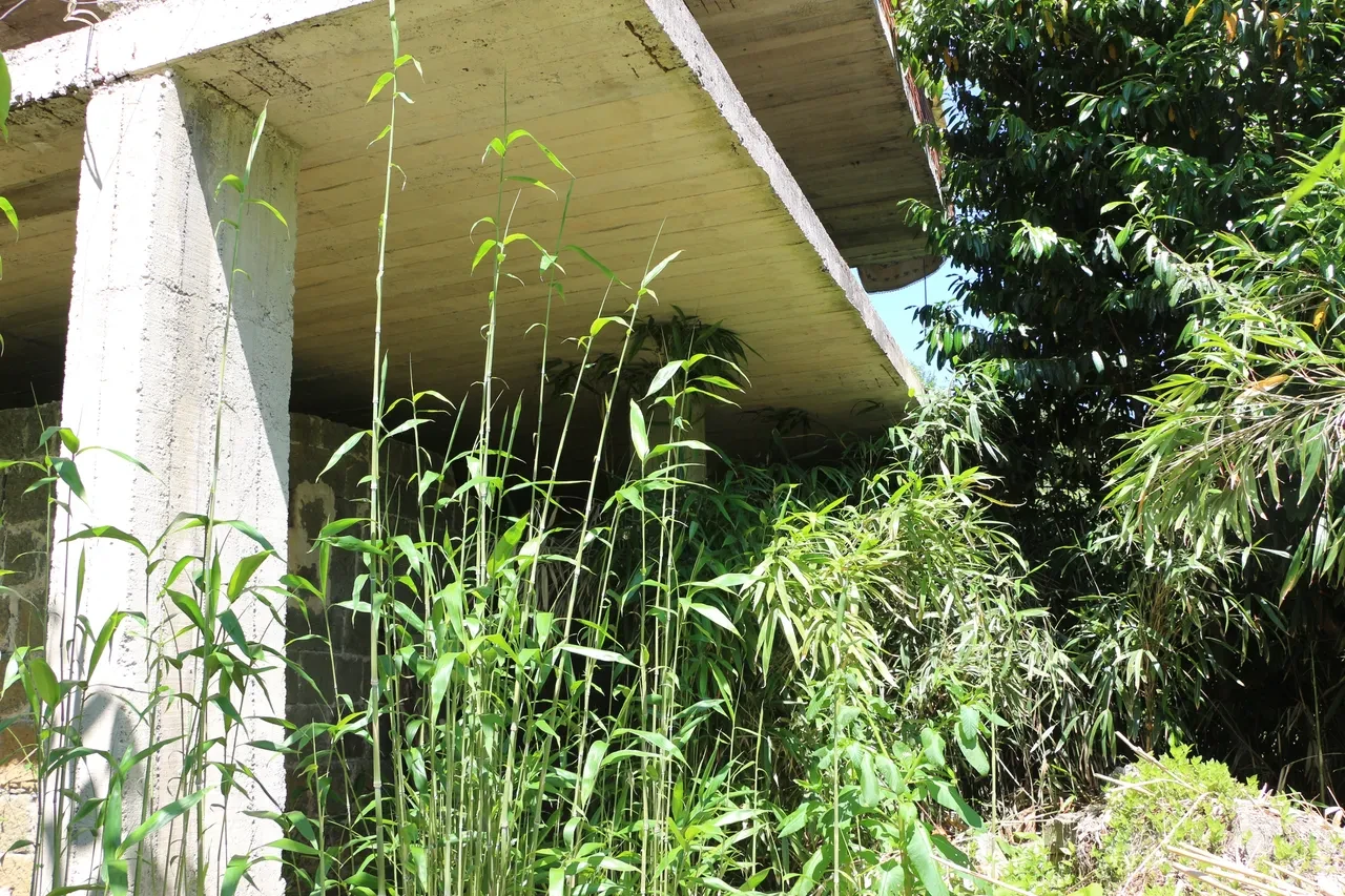 Mahalleliyi canından bezdirdi! Diken üstünde yaşıyorlar: 'Birkaç seneye köy kapanır'