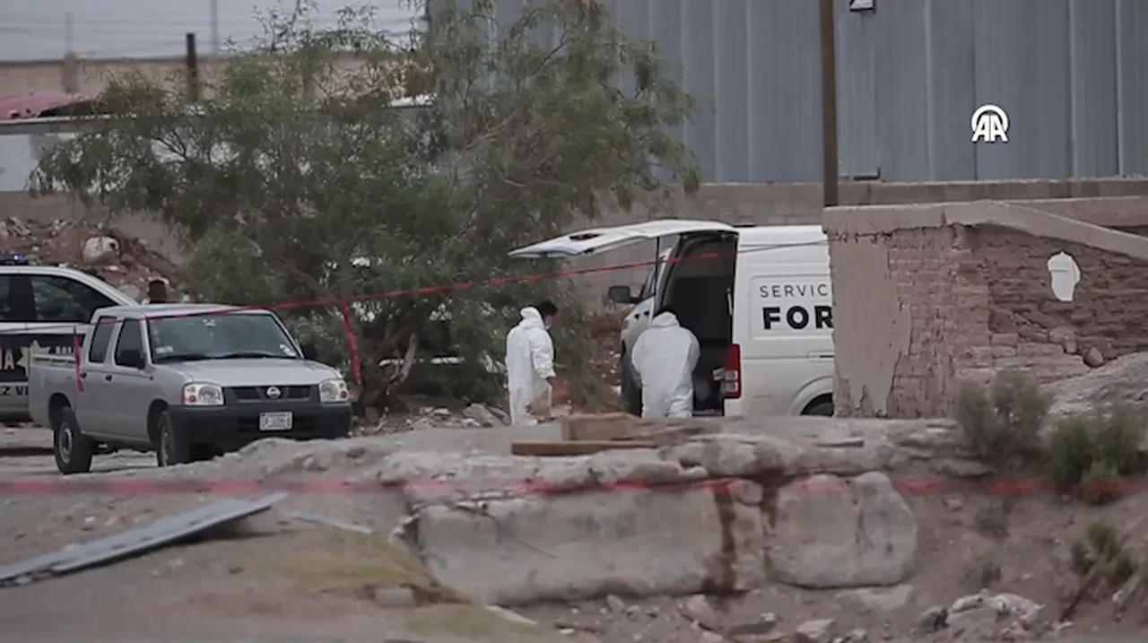 Mumya cesetlerin sayısı arttı: Ailelere külleri yerine başka madde verildi