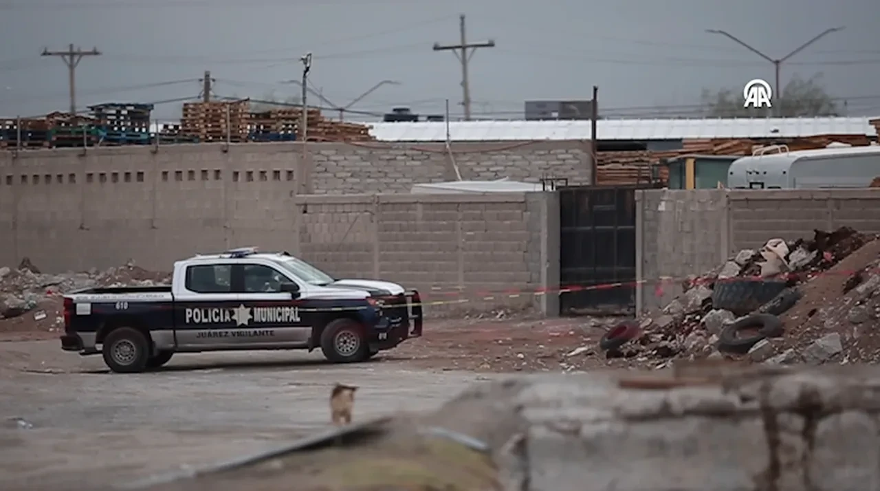 Mumya cesetlerin sayısı arttı: Ailelere külleri yerine başka madde verildi