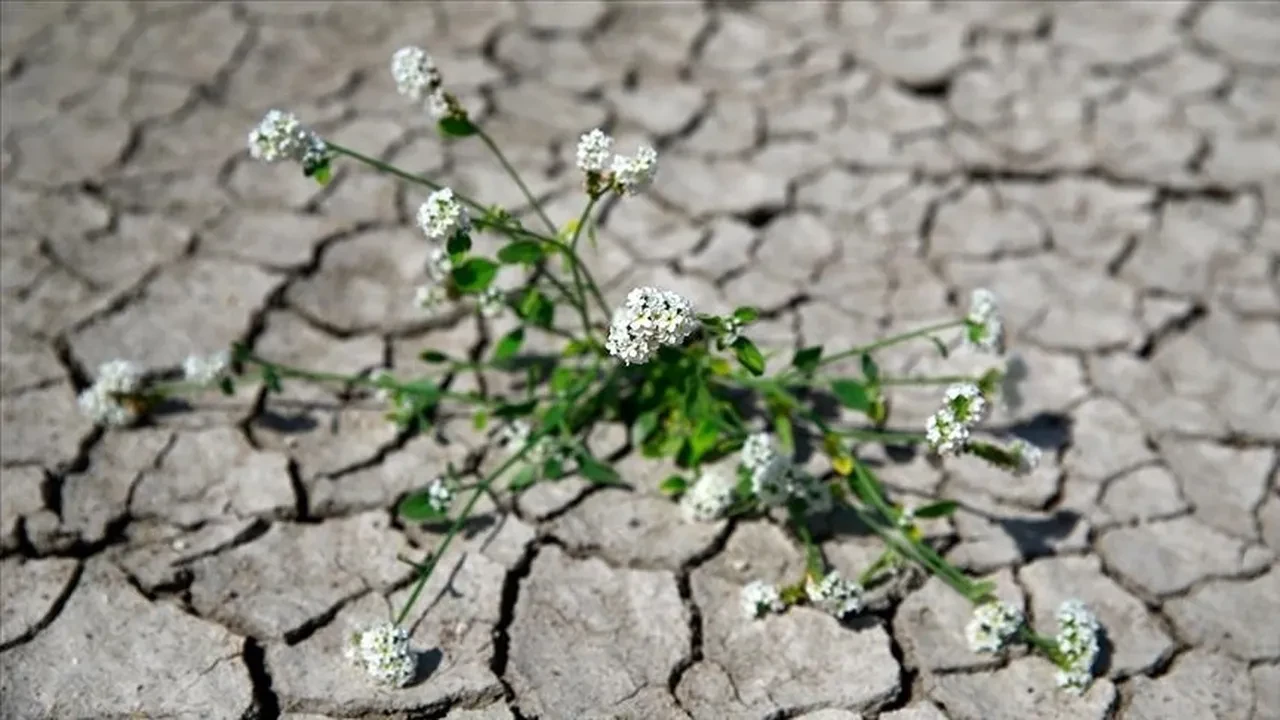 TBMM'nin yeni hafta gündeminde İklim Kanunu teklifi var: 2.5 milyon lira ceza kesilecek