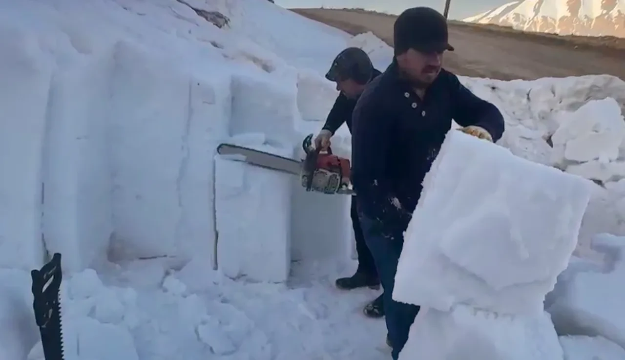 Testereyle kesilip bin bir zahmetle toplanıyor! Pazarda 50 liradan kapış kapış satılıyor