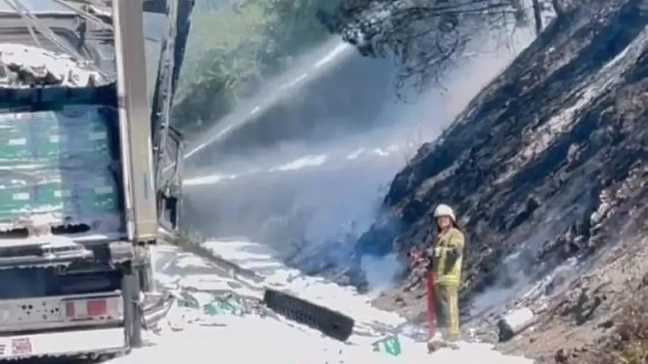 Tır alev aldı, yangın ormana sıçradı! 