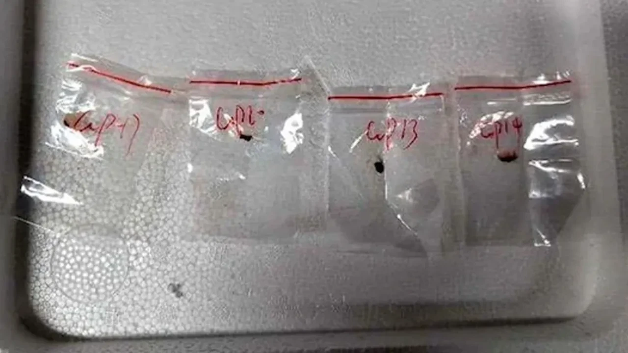 ABD'den Çin'e 'tarım terörü' suçlaması! Ürünlere zararlı mantar bulaştıracaklardı iddiası