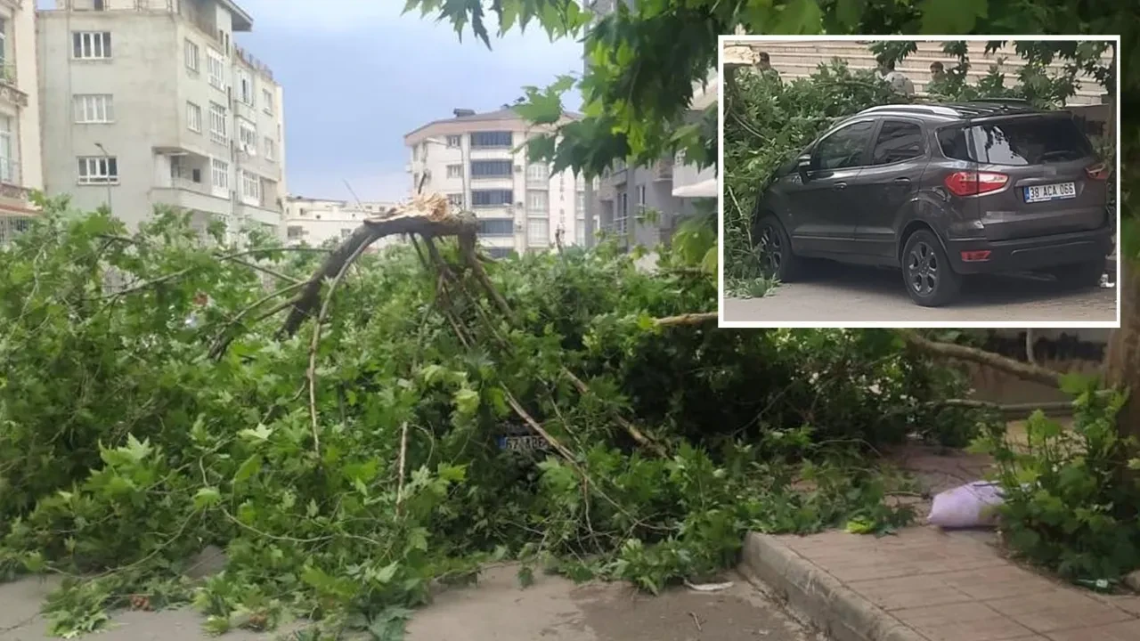 Batman'da ağaç arabanın üzerine devrildi
