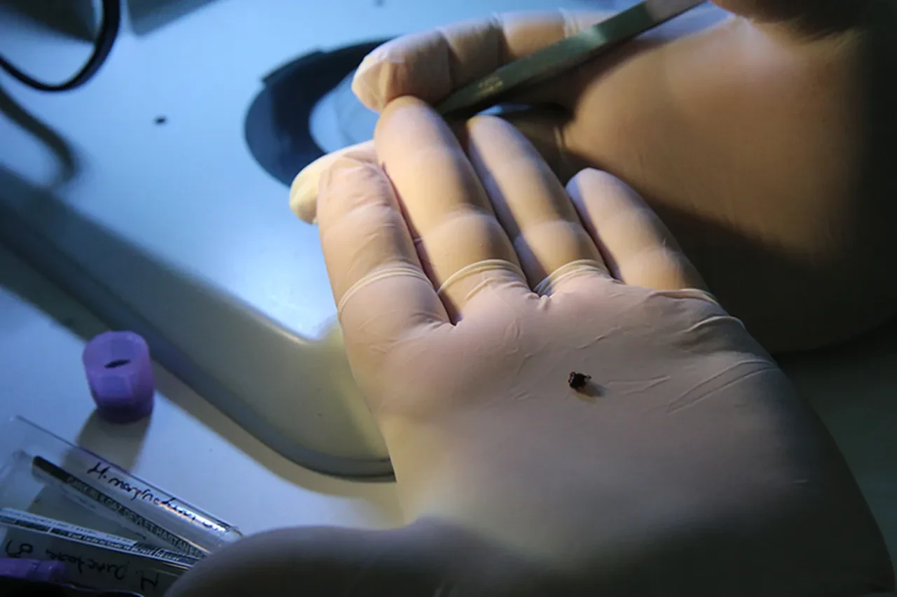 Bu belirtilere dikkat! Ölümler başladı, Sağlık Bakanlığı uyardı: 2 hafta kendinizi kontrol edin