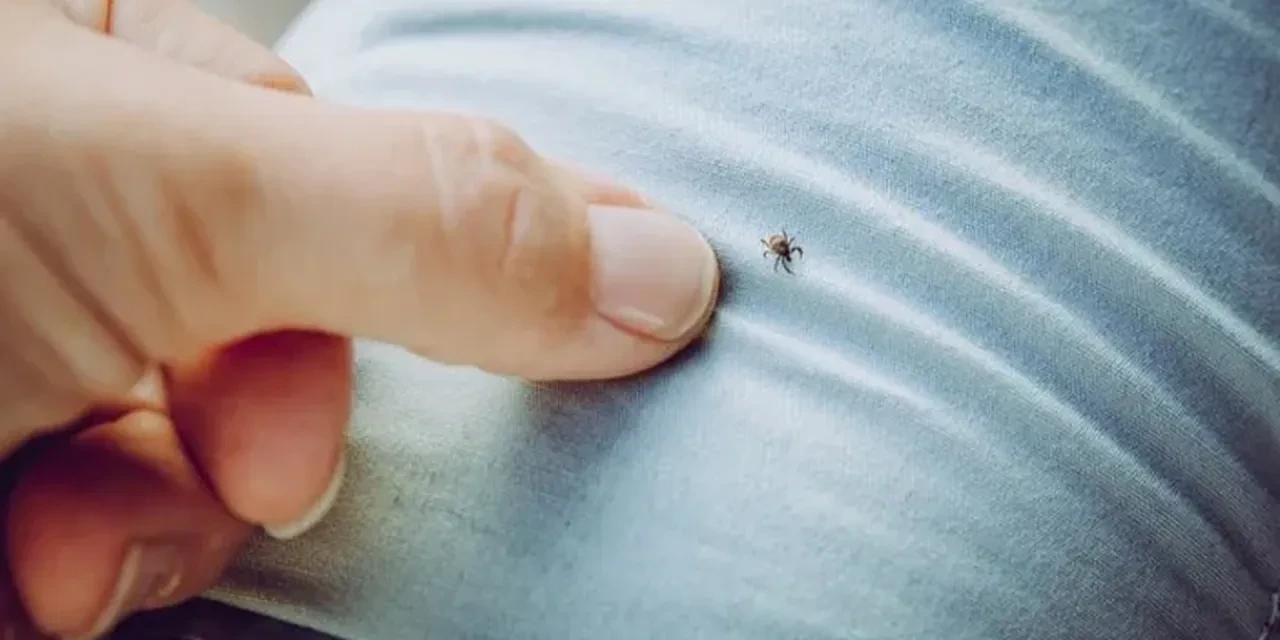 Bu belirtilere dikkat! Ölümler başladı, Sağlık Bakanlığı uyardı: 2 hafta kendinizi kontrol edin