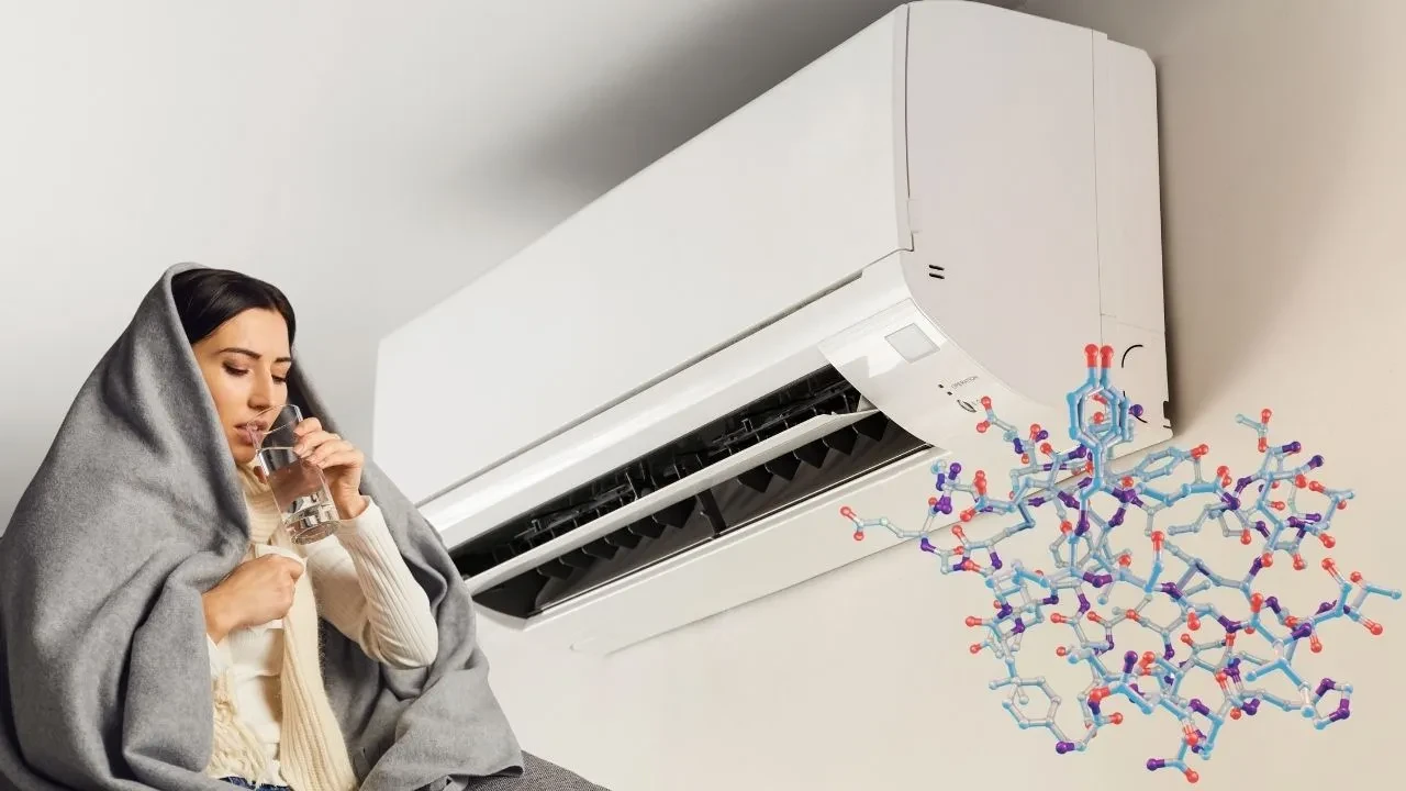 Kadınların klimalı ortamda daha fazla üşümesinin nedeni dikkat çekti