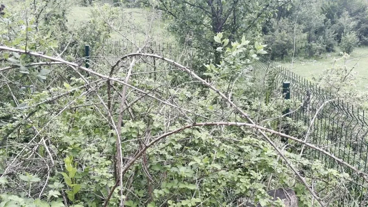 Kastamonu'daki 5 asırlık türbe görünmez oldu! Vatandaşların tek isteği var