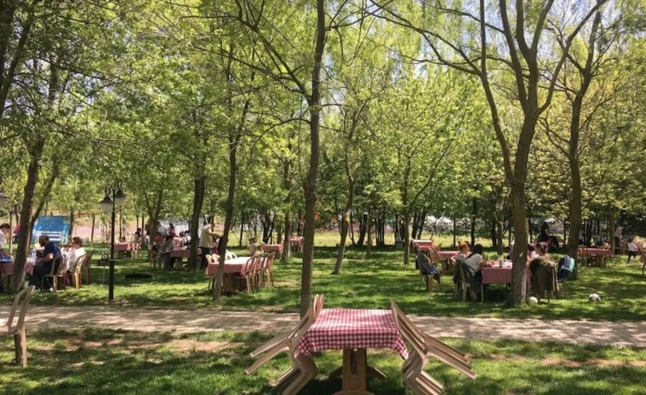 Bayramda İstanbul’da mangal yapmak yasak mı? İstanbul Valisi Davut Gül açıkladı