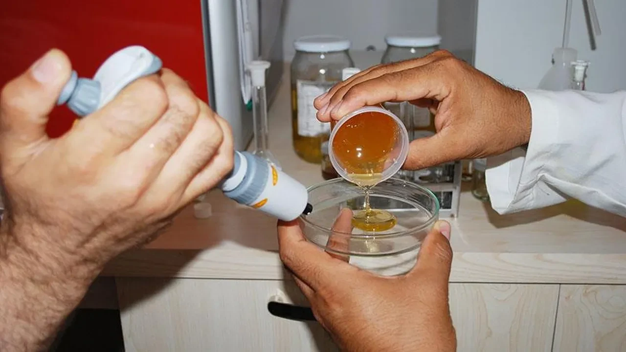 Gıda terörüne geçit yok! Bakanlık sahtecilere göz açtırmadı: İşte yeni ifşa listesi