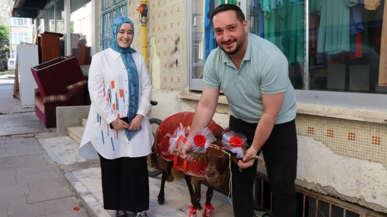 Nişanlıya kurbanlık koç hediyesi! Detayı fark eden oraya baktı