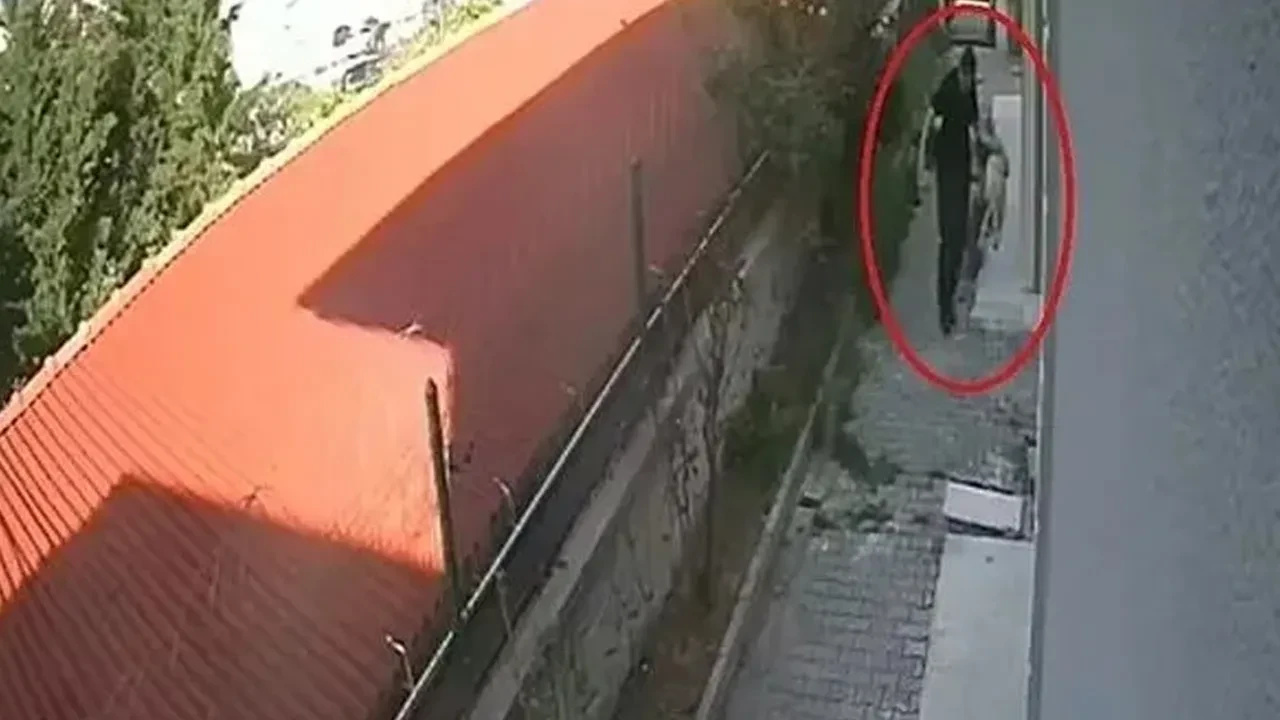 Sapık doktorun köpeklere yaptıkları kan dondurdu!  İstismarda bulunup parçalıyormuş: Dehşete düşüren konuşmalar 