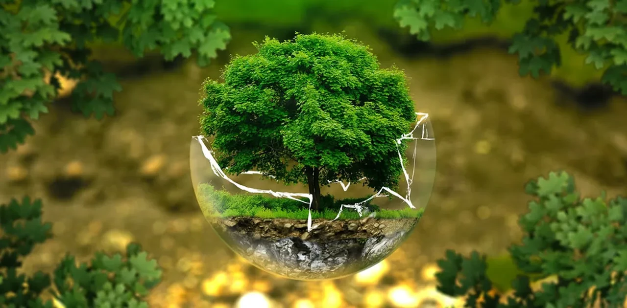 Son dakika | Cumhurbaşkanı Erdoğan'dan Dünya Çevre Günü mesajı