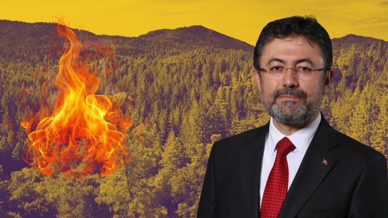 Bakan Yumaklı'dan orman çağrısı: 'Lütfen' diyerek uyardı!  