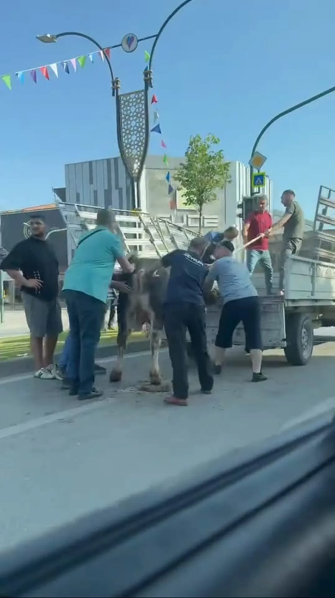 Kaçan kurbanlıklar bu sene de sahiplerini terletti