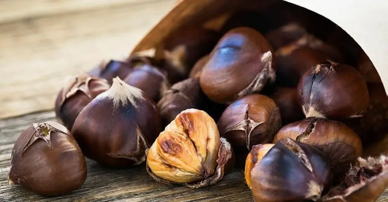 Kestane Nerede ve Ne Zaman Yetişir? Kestane Ağacı Hangi Bölgede Yetişir?