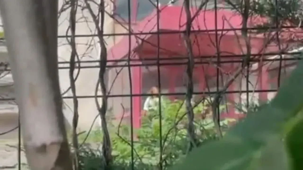Pendik’te parasını alamadığını iddia eden kadın kendini ve iş yerini yakmakla tehdit etti