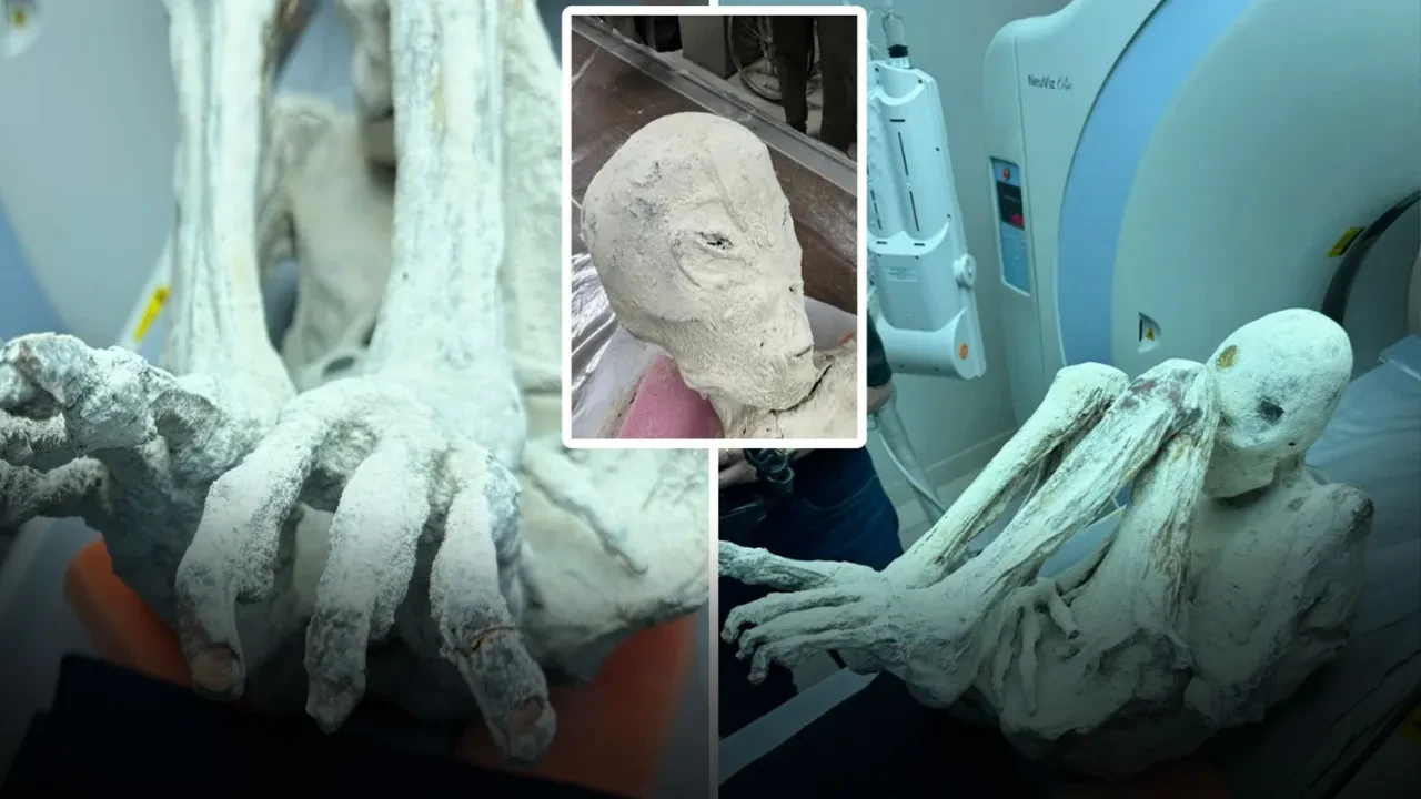 Uzaylı mumyası röntgene sokuldu! İçinden çıkanlar dehşete düşürdü
