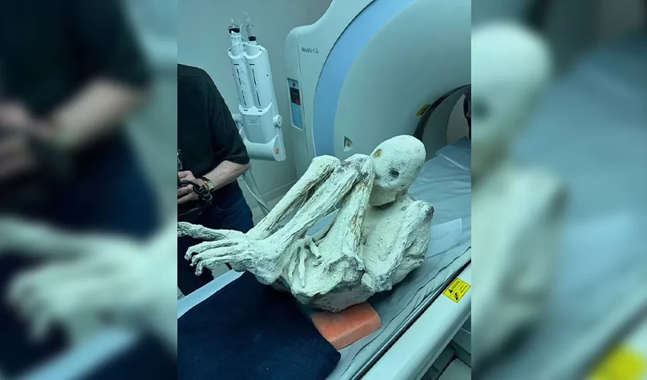 Uzaylı mumyası röntgene sokuldu! İçinden çıkanlar dehşete düşürdü