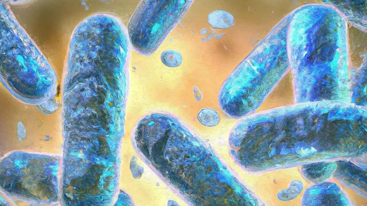 Bu vitamin yaşınızdan daha genç görünmenizi sağlıyor! Bilim insanları açıkladı: 3 yaş gençleştiriyor