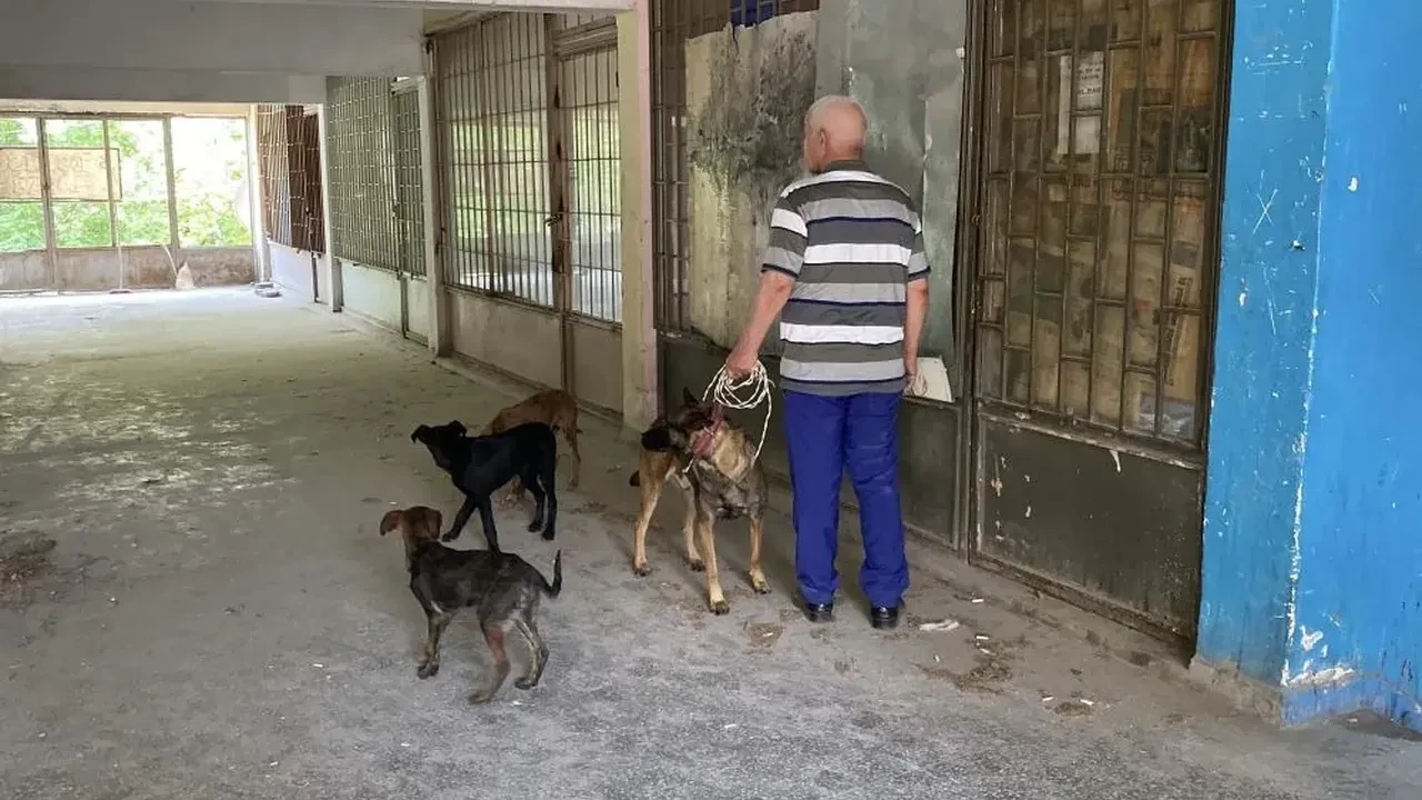 Cezaevi mağduru 6 Köpek, 15 günlük esaretten kurtarıldı