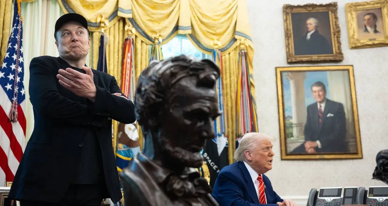 Elon Musk, Trump'ı zora sokan Epstein paylaşımını sildi
