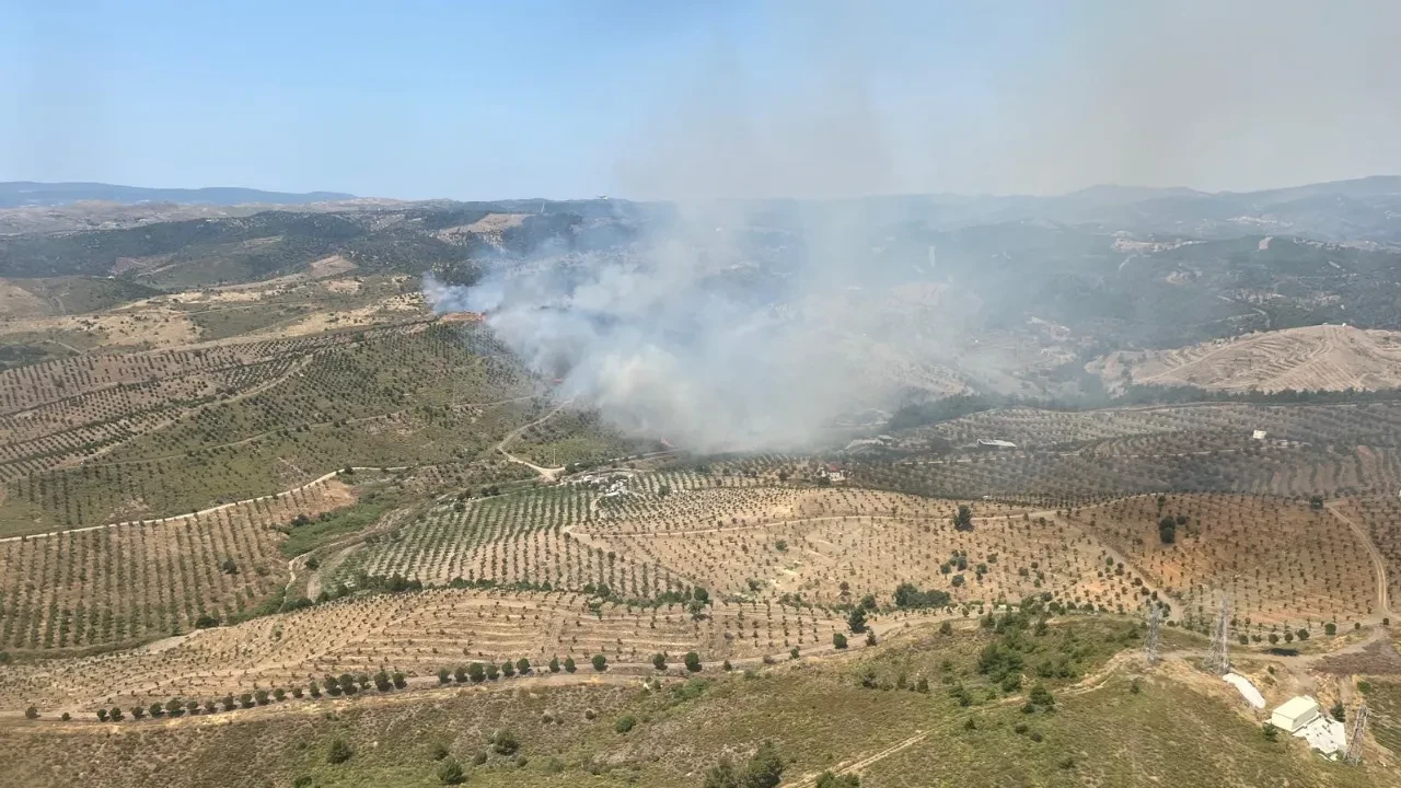  İzmir'de ormanda korkutan yangın