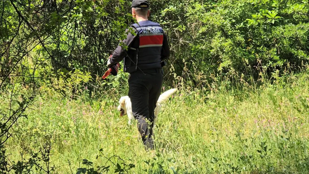 Ormanda çadır kurup kamp yapan öğretmen kayboldu