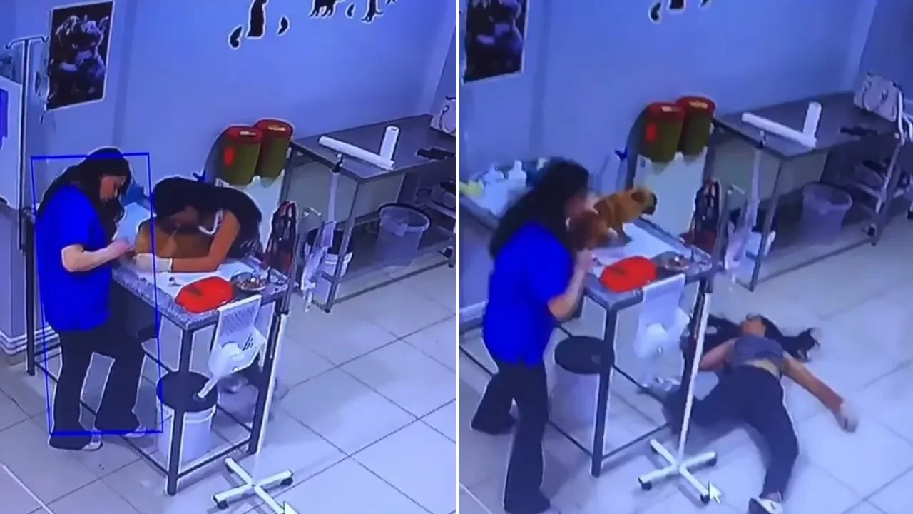 Köpeğini tedavi edilirken bir anda yere yığıldı! Sebebi sonradan ortaya çıktı 