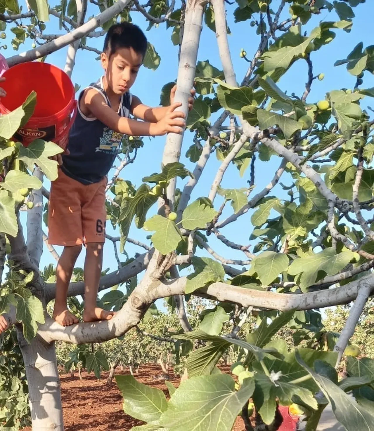Onurcan Özdemir'den acı haber! Otizmli çocuğun cansız bedeni Fırat Nehri'nde bulundu
