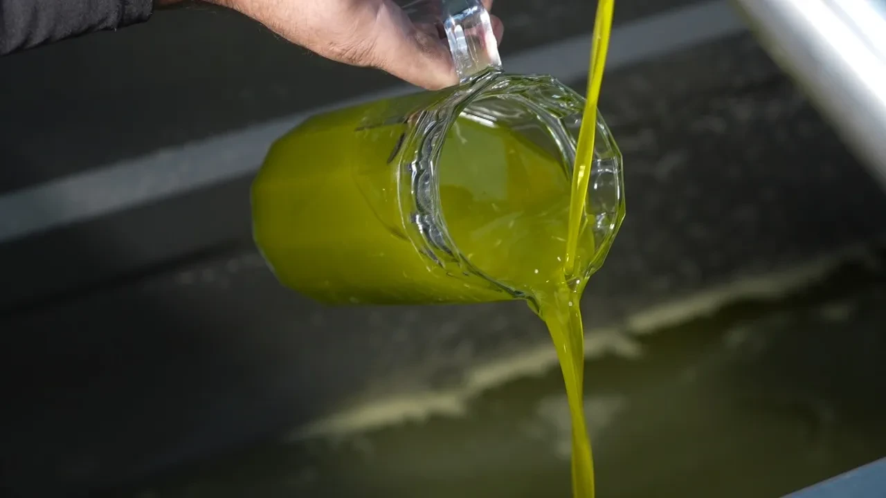 Sıcaktan pişenler dikkat! Sabah bunu içenler gün boyu serin kalıyor