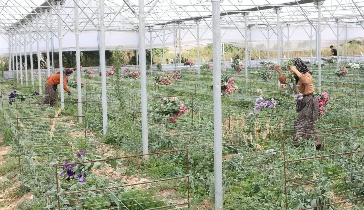 Bakan Yumaklı açıkladı! 5,5 milyar liralık kredi ve hibe desteği
