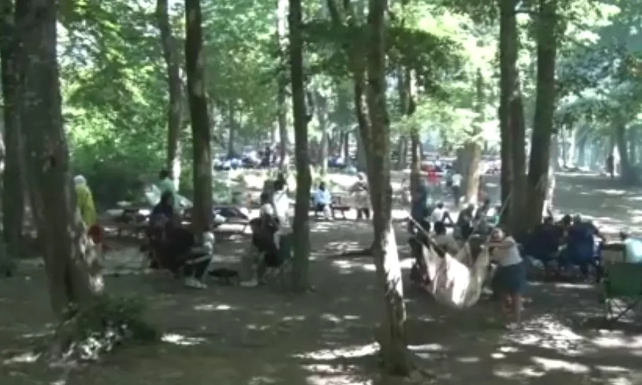 İstanbullular Belgrad Ormanı'na akın etti