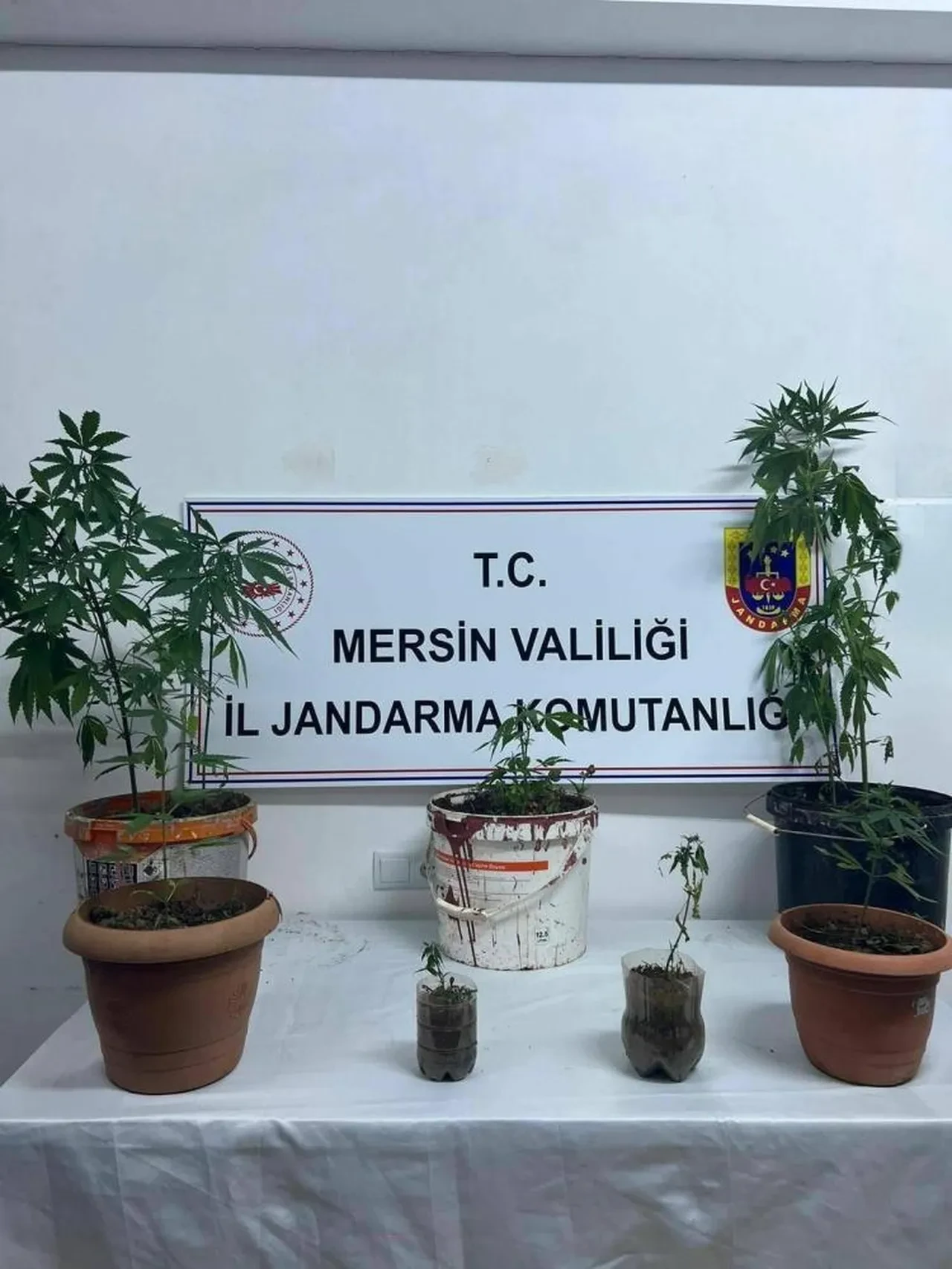 Mersin'de uyuşturucu operasyonu: 4 şüpheli yakalandı
