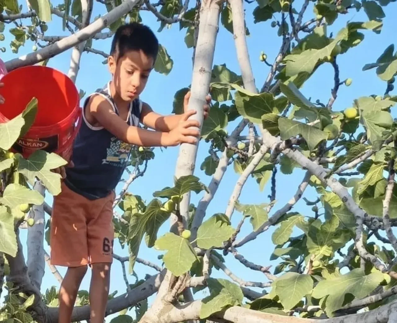 Onurcan Özdemir son yolculuğuna uğurlandı