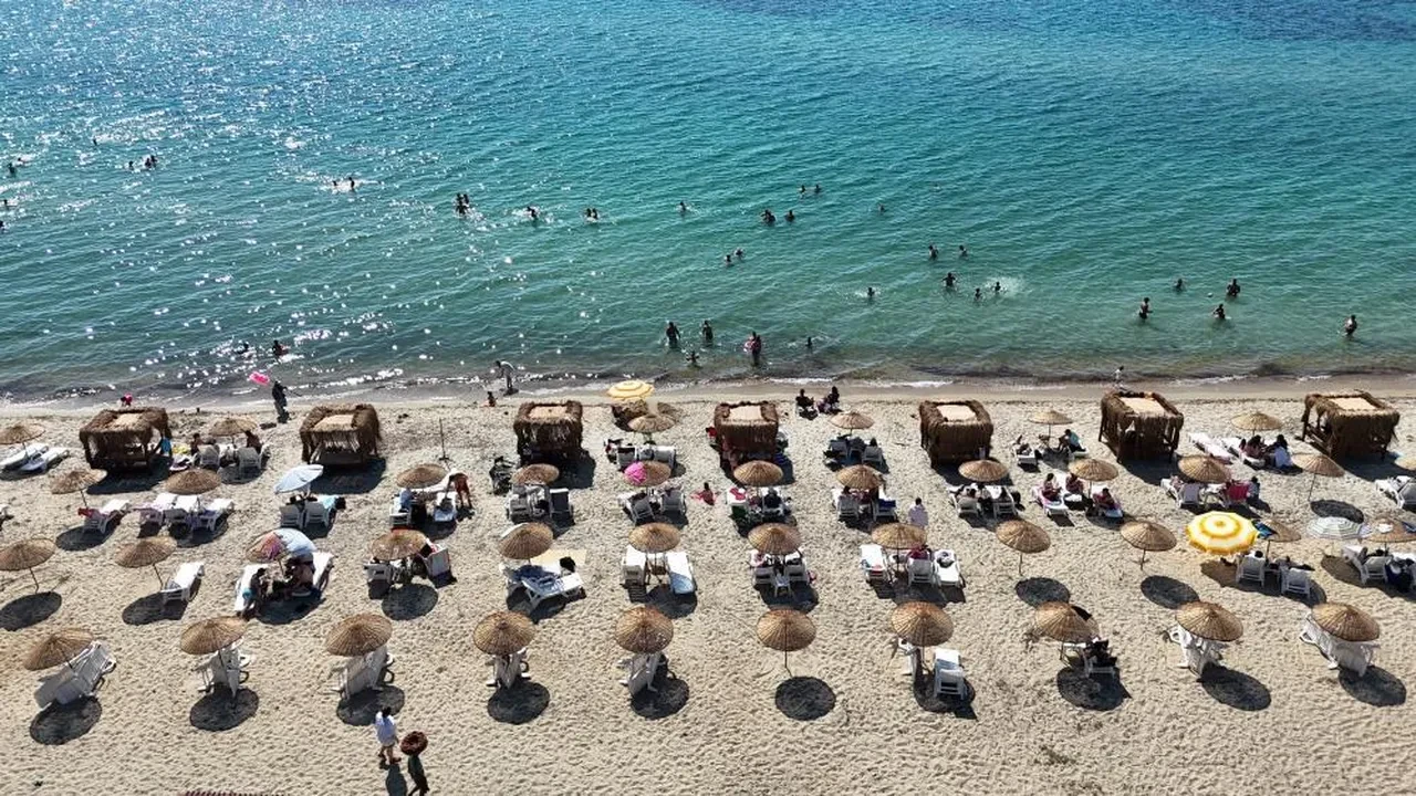 Saros Körfezi'nde tatilcilere Uğur Böceği istilası: Tatilcilere zor anlar yaşattı