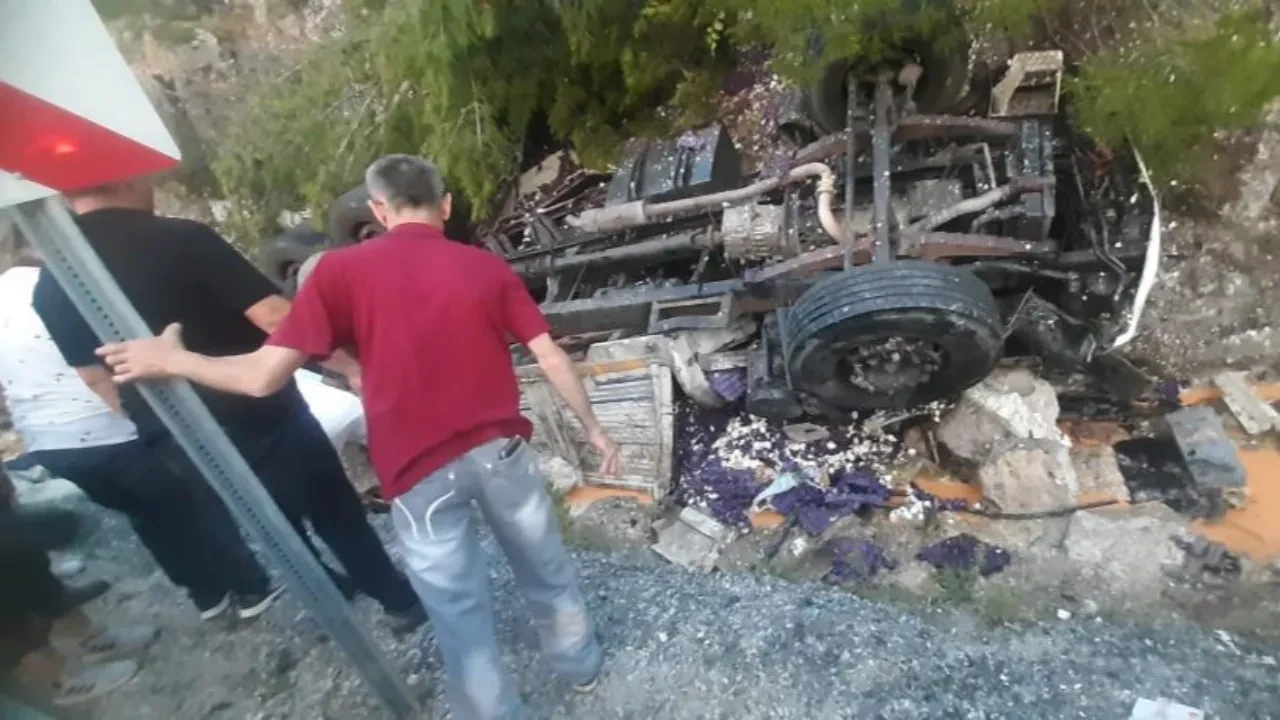 Yumurta yüklü kamyon kayalığa devrildi! Sürücü can verdi