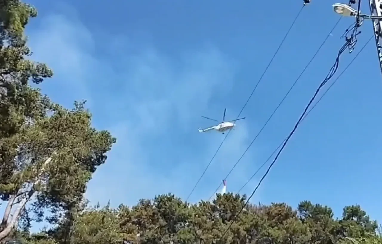 Antalya Manavgat yangın son dakika söndürüldü mü? Rüzgarın etkisiyle kısa sürede yayıldı