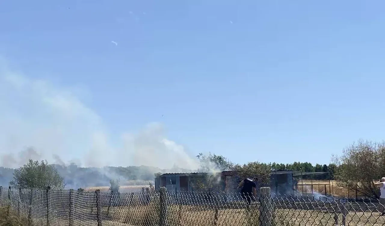 Avrupa'da yangın alarmı! Kıta çapında aşırı sıcaklar yasakları da beraberinde getirdi