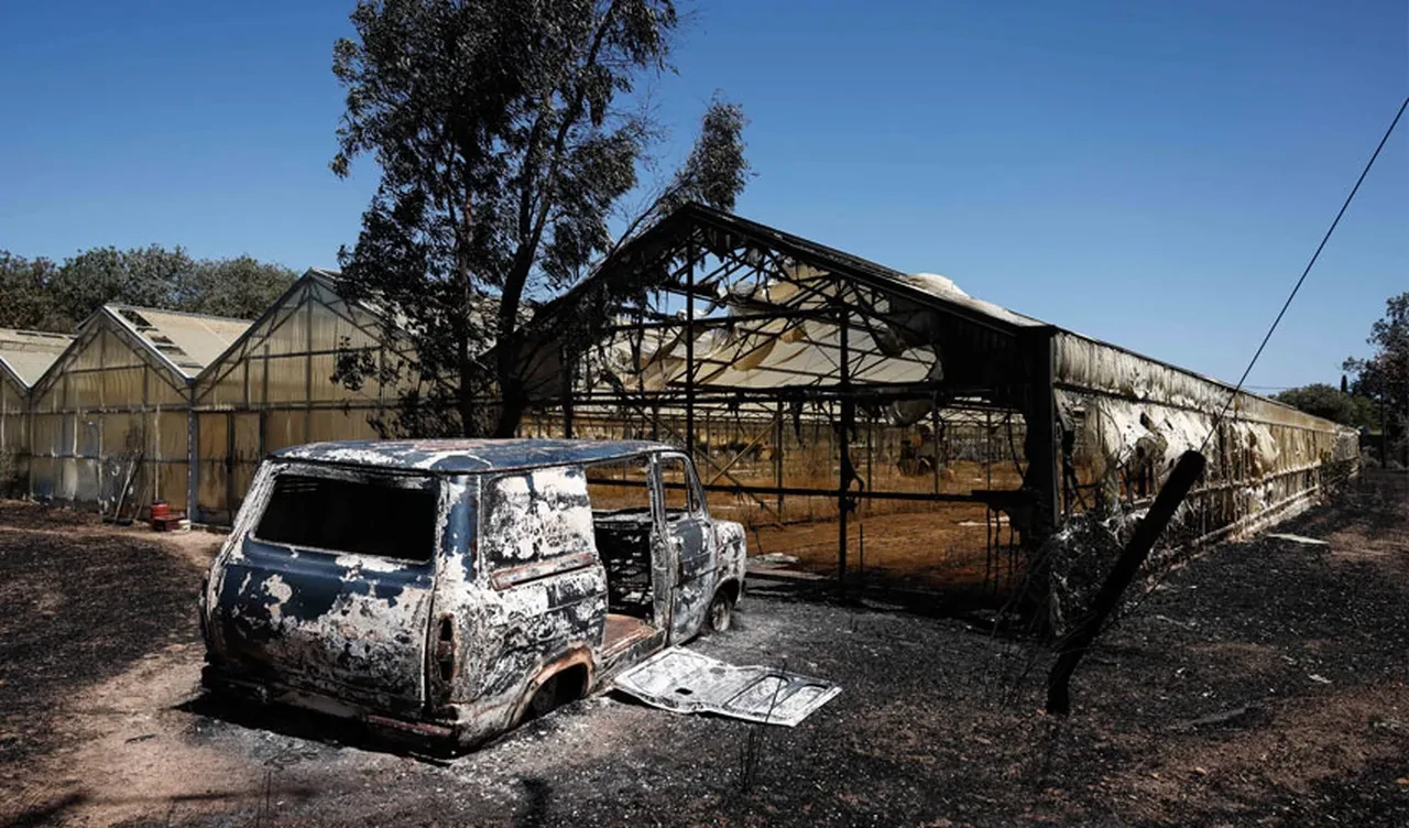 Avrupa'da yangın alarmı! Kıta çapında aşırı sıcaklar yasakları da beraberinde getirdi